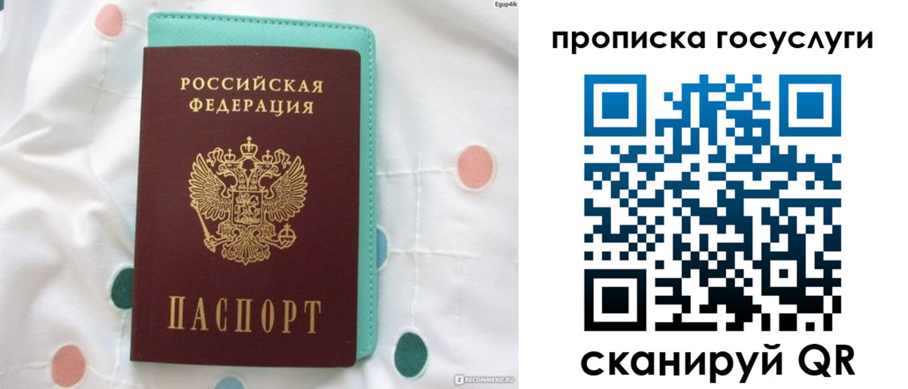 прописка поиск в Спасске-Дальнем